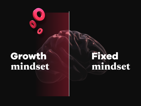 RockBoost's growth and fixed mindsets